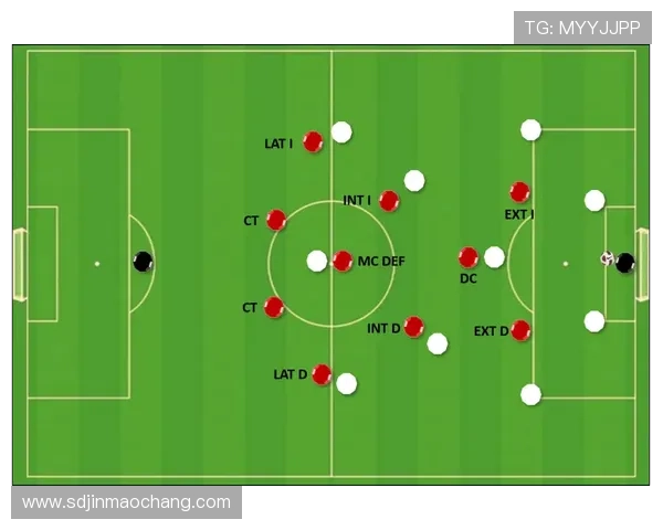 南京排球队盯防战术深度分析与实战应用探讨