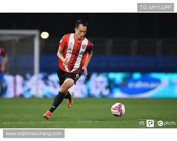 杭州排球队以58分领跑挑战赛积分榜展现强劲实力 杭州排球队以58分领跑挑战赛积分榜展现强劲实力