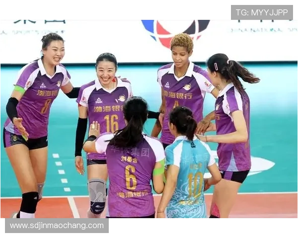 武汉排球队实力对比深度解析与未来发展展望 武汉排球队实力对比深度解析与未来发展展望