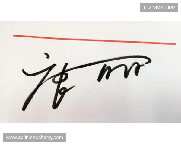 足球明星签名艺术作品集展示各大球星独特风格与个性魅力