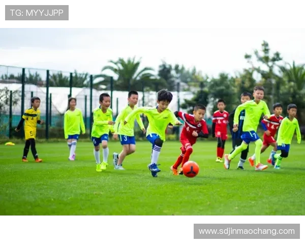 我的足球明星朋友带我走进绿茵场的精彩世界与梦想追逐之旅 我的足球明星朋友带我走进绿茵场的精彩世界与梦想追逐之旅