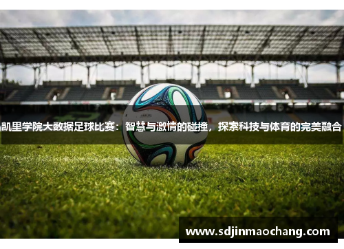 凯里学院大数据足球比赛：智慧与激情的碰撞，探索科技与体育的完美融合