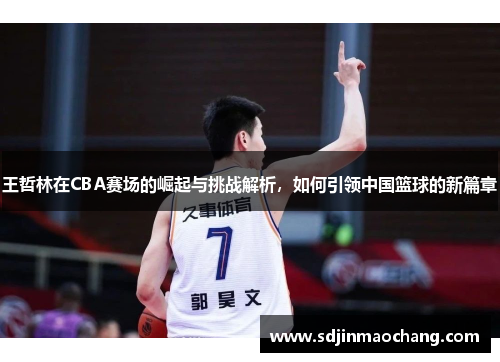 王哲林在CBA赛场的崛起与挑战解析，如何引领中国篮球的新篇章