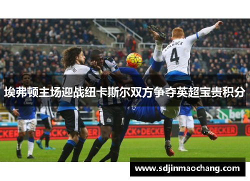 埃弗顿主场迎战纽卡斯尔双方争夺英超宝贵积分