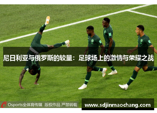 尼日利亚与俄罗斯的较量：足球场上的激情与荣耀之战